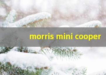 morris mini cooper